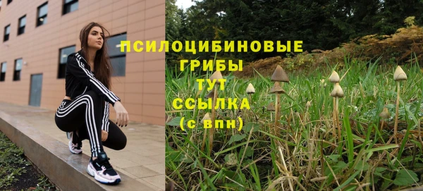 PSILOCYBIN Беломорск